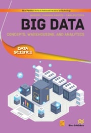 Big Data Maribel Yasmina Santos