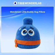 Gift Suitable Cuddle Pillow