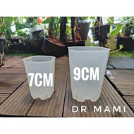 Aroid Exotic Philodendron Orchid Plant Plastic Transparent Clear Pot Mesh Net Pot Flower Pot Transpa