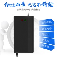 Electric Vehicle Lithium Battery Charger 60v5a Tri-Yuan Lithium Battery 67.2 v71.4 v20 String Lithiu