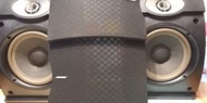 Bose  301