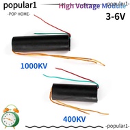 POPULAR 1Pcs High-Voltage Module, Power Boost Inverter High Voltage Generator, Durable 400KV 1000KV 