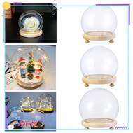 YEW Glass Vase Jar Spherical Terrarium Transparent Bottle Glass cloche