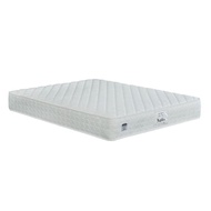 King Koil Ortho Care Maples Spring Mattress