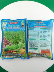 Phân bón lá EXPERT 33 - 11 - 11 + TE 100gam: giúp xanh lá siêu bung chồi đẻ nhánh phát đọt mập chổi 