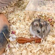 CHEW TOYS HAMSTER WHIMZEES TOOTHBRUSH HAMSTER SIZE XS PENGASAH GIGI
