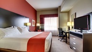 HOLIDAY INN MERIDIAN E - I 20/I 59