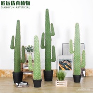 Large Cactus Cactus Cactus Cactus Stick Cactus Pillar Simulation Shopping Mall Green Plant Plant Sim