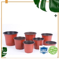 Disposable Flower Pot Plant Nursery Pots Plastic Pots for Flower Seedling Plant Container pot