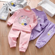 Child suit Spring and Autumn girl 2-piece set 0-6 Age kids clothing