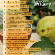 <ARZ>Guava LEAF TEA: 100% ORGANIC PURE GUAVA LEAF TEA (30 TEA BAG)