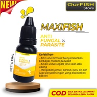 READY TERLARIS OBAT IKAN HIAS ANTI JAMUR ICH ANTI WHITE SPOT PARASIT IKAN CUPANG BLUE RIM AVATAR HAL