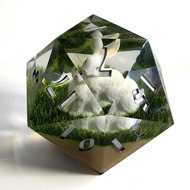 Resin dice DND dice D20 78MM Big dice Dungeon and Dragon dice