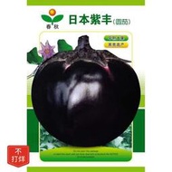 日本紫豐圓茄種子 種籽高產抗病茄子種子 種籽黑亮黑茄子圓茄hxmm