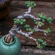 clearance sale Antler Begonia Succulent Plant Shape Green Plant Foliage Bonsai Succulent Old Stump O