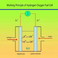 Proton membrane hydrogen fuel cell, teaching.