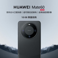 华为（HUAWEI）旗舰手机 Mate 60 12GB+512GB 雅丹黑