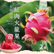 【初品果】 台南白河草生栽培紅肉火龍果5斤7-9顆x2盒-即日起預購.5/15開始陸續出貨