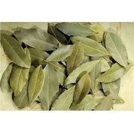 Dried Bay Leaves