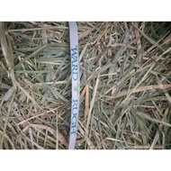 Premium Timothy Hay and Standard Timothy Hay in Resealable Plastic