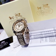 DHSG Đồng Hồ Thời Trang CO nữcoach mini boyfriend 14501827 Dây Da - Size 34mm - fullbox