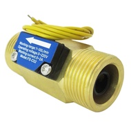 DIGITEN FS-C02 G3/4" BSP Male Thread Brass Water Flow Switch 1-30L/min, 0-2A/ 0-220V(AC or DC) P0YT