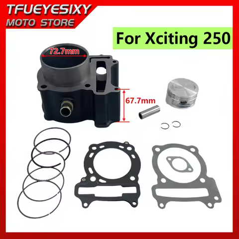 Motorcycle Engine Parts 12100-KHE7-900 72.7mm Bore Cylinder Piston Kit for Kymco Xciting 250 Mxu250 