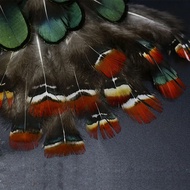 Assorted LADY AMHERST Tippets &center Tail Feather Fly Tying Feather Materials (30pcs)