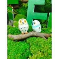 Combo 2 owls.
