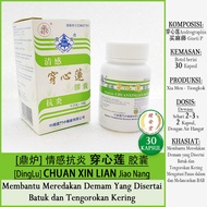 [Ding Lu] CHUAN XIN LIAN CAPSULE - Sambiloto [30 Capsules] Relieves Fever-Stones-Dry Throat