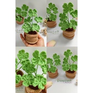 Lucky 4-Leaf Grass Pots