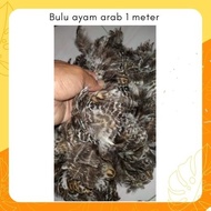 Bulu Ayam Arab Blirik 1 Meter - Bulu Ulu Ayam Pitik Betina Murah -