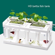 Betta Tank Four Grid DIY Betta Tank Creative Betta Tank Acrylic Desktop Fish Tank Isolate Fish Tank