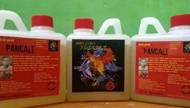 OBAT AYAM ARAK GOSOK PANCALI 500ML