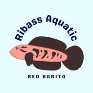 Usuryss Aquatic - Red Barito