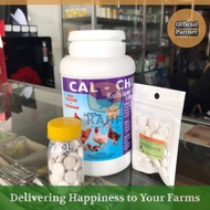 Kalk Ayam isi 25 Tablet KalsiumPenguat Tulang Ayam Bebek [KAHF PS]