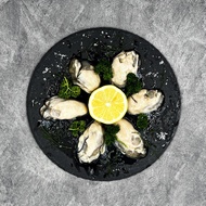 Oyster Meat 去壳牡蛎肉1kg/pkt