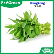 【Ready Stock】Biji Benih Kangkong/ Kangkong Seeds