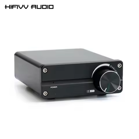 Hi End TPA3116 Digital Power Amplifier Mono Class D Subwoofer Plate Speaker Amplifier 100W For Home 