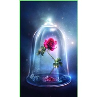 Pattern only / Cross stitch / Embroidery / Stitch / Crafts / Pattern / Dmc thread