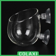 [Colaxi] Aquarium Planter Cup Plant Stand Hanging Glass Landscape Accessories