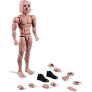 1/12 Scale Muscle Male Action Figure 6in Flexible Strong Notaman Square Head Male Figure Body Doll M