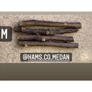 Apple stick | Uk hamster Bite M