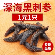 【拾光优品文具kongshi342.my】 野生海参干货孕妇级纯淡干特价散装海参黑刺参严选礼盒足干海参Wild sea cucumber dry goods Pregnant women's grad
