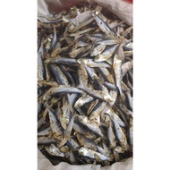 🔥 PROMOSI 🔥 IKAN TAMBAN TAWAU SABAH....!!!