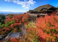 關西旅遊｜《漫遊古都》京都塔維諾斯酒店6天5夜自由行★樂桃航空★含稅．含20公斤行李｜高雄出發