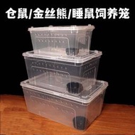 西班牙睡鼠飼養盒透明倉鼠金絲熊小窩用品花枝鼠養殖箱睡鼠外帶籠