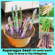 30pcs Green White Purple Asparagus Seed Organic Vegetable Seeds Bonsai Seeds for Planting Vegetables