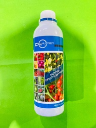 Nutrisi Daun dan Batang C4 NUTRIEN HBL Company terbaikk!!