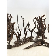 Magnifica Driftwood Decor Display Arts & Crafts Drift Wood (Varnished)
